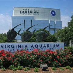 Отель Candlewood Suites Virginia Beach/Norfolk городской автобус