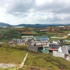 Отель Dalat Authentic Homestay Вьетнам, Далат - отзывы, цены и фото номеров - забронировать отель Dalat Authentic Homestay онлайн