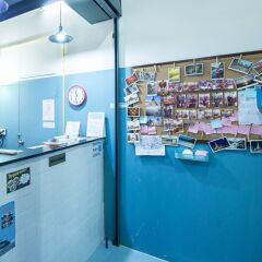 Zee Thai Hostel развлечения