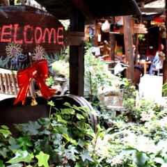 Hello Chengdu International Youth Hostel