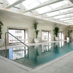 Отель Barcelo Torre de Madrid Испания, Мадрид - 1 отзыв об отеле, цены и фото номеров - забронировать отель Barcelo Torre de Madrid онлайн с домашними животными