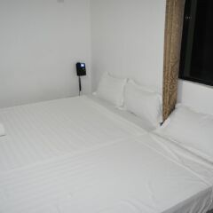 Airport Ace Hotel in Viti Levu, Fiji from 80$, photos, reviews - zenhotels.com guestroom