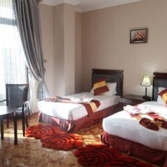 Tirar International Hotel in Addis Ababa, Ethiopia from 147$, photos, reviews - zenhotels.com photo 7
