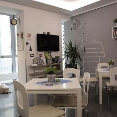 Chic Hostel интерьер отеля фото 3