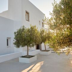 Milos Breeze Boutique Hotel фото 5