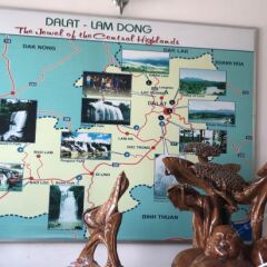 Отель Dalat 24h Guest House Далат приотельная территория