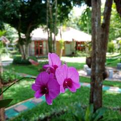 Blanco Hostel at Lanta Ланта фото 15