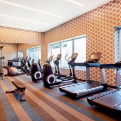Отель ibis Styles New York LaGuardia Airport США, Нью-Йорк - отзывы, цены и фото номеров - забронировать отель ibis Styles New York LaGuardia Airport онлайн фитнесс-зал