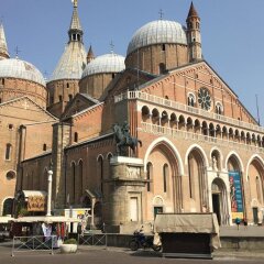 Отель Donatello Италия, Падуя - отзывы, цены и фото номеров - забронировать отель Donatello онлайн городской автобус