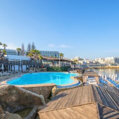 Dolmen Hotel Malta Каура с домашними животными