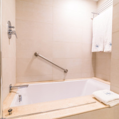 Отель Eurostars Zona Rosa Suites Мексика, Мехико - отзывы, цены и фото номеров - забронировать отель Eurostars Zona Rosa Suites онлайн ванная