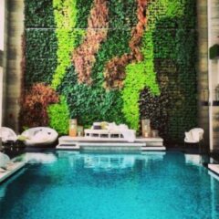 Отель W Guangzhou Гуанчжоу с домашними животными
