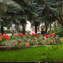 Гостиница Vele Rosse Украина, Одесса - 7 отзывов об отеле, цены и фото номеров - забронировать гостиницу Vele Rosse онлайн фото 7