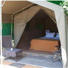 Отель Mahoora Tented Safari Camp - Kumana Шри-Ланка, Яла - отзывы, цены и фото номеров - забронировать отель Mahoora Tented Safari Camp - Kumana онлайн фото 3