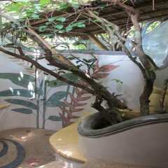 Отель Koh Tao Bamboo Huts Таиланд, Остров Тау - отзывы, цены и фото номеров - забронировать отель Koh Tao Bamboo Huts онлайн питание