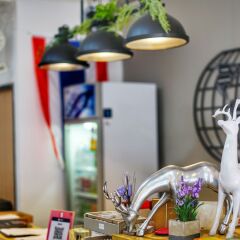 Отель Cha Cha Cha Hostel Таиланд, Паттайя - отзывы, цены и фото номеров - забронировать отель Cha Cha Cha Hostel онлайн в номере