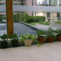 Asset Hotel Shanghai парковка