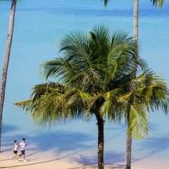 Отель Phuket Panwa Beachfront Resort фото 5