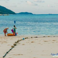 Отель Cabana Lipe Beach Resort с домашними животными