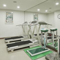 The Summit Hotel Seoul Dongdaemun фитнесс-зал фото 3