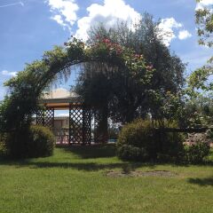 Отель Villa Il Crocicchio Реггелло фото 19