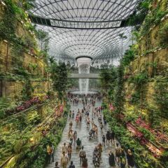 Отель Crowne Plaza Changi Airport фото 10