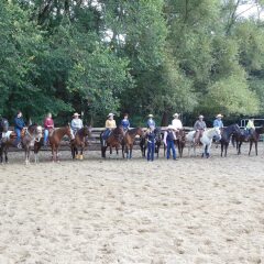 Ferien- und Reitsport Hotel Brunnenhof пляж