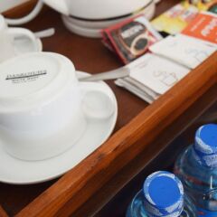 Terrace Green Hotel & Spa удобства в номере фото 2
