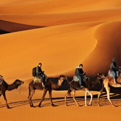 Отель Luxury Maktoub Марокко, Мерзуга - отзывы, цены и фото номеров - забронировать отель Luxury Maktoub онлайн пляж фото 2