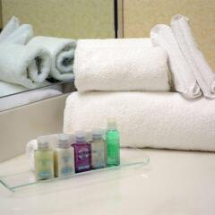 Отель Best Western Premier Calgary Plaza Hotel & Conference Centre Канада, Калгари - отзывы, цены и фото номеров - забронировать отель Best Western Premier Calgary Plaza Hotel & Conference Centre онлайн с домашними животными