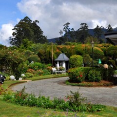 Отель Royal Cocoon - Nuwara Eliya фото 9