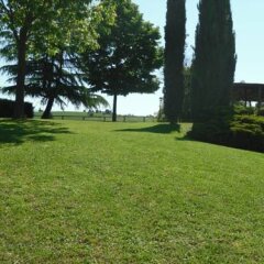 Отель Agriturismo Poggio Di Sotto