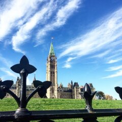 Отель Residence & Conference Centre - Ottawa West Канада, Оттава - отзывы, цены и фото номеров - забронировать отель Residence & Conference Centre - Ottawa West онлайн фитнесс-зал