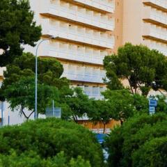 Mimosa Hotel Mallorca фото 3