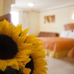Hotel Puerta Del Sol Guadalajara комната для гостей