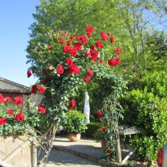 Отель Agriturismo Il Colto Италия, Сан-Джиминьяно - отзывы, цены и фото номеров - забронировать отель Agriturismo Il Colto онлайн фото 6