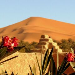 Отель Гостевой дом La Vallée des Dunes Марокко, Мерзуга - отзывы, цены и фото номеров - забронировать отель Гостевой дом La Vallée des Dunes онлайн балкон