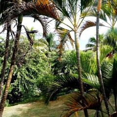 Отель Anchorage Beach Resort Фиджи, Вити-Леву - отзывы, цены и фото номеров - забронировать отель Anchorage Beach Resort онлайн фото 7
