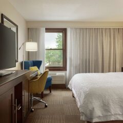 Отель Hampton Inn & Suites Springdale удобства в номере фото 2
