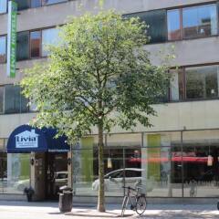 Отель STF Livin Hotel - Sweden Hotels Швеция, Эребру - отзывы, цены и фото номеров - забронировать отель STF Livin Hotel - Sweden Hotels онлайн городской автобус