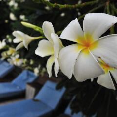 Отель Ramada by Wyndham Phuket Southsea фото 8