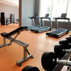 Elite Hotels Darica Spa & Convention Center Турция, Гебзе - отзывы, цены и фото номеров - забронировать отель Elite Hotels Darica Spa & Convention Center онлайн фитнесс-зал