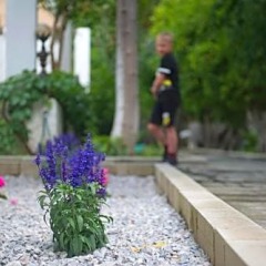Bodrum Maya Hotel фото 15