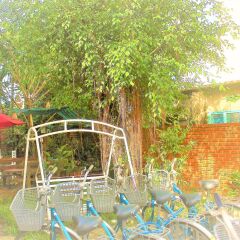 Отель Green Bud Homestay детские мероприятия