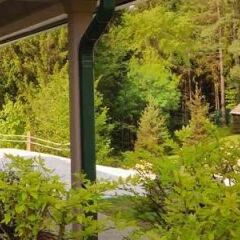 Отель Best Western Plus Waterbury - Stowe фото 9