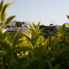 Ericeira Chill Hill Hostel & Private Rooms - Peach Garden