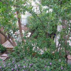 Allenby 2 Bed and Breakfast Израиль, Иерусалим - отзывы, цены и фото номеров - забронировать отель Allenby 2 Bed and Breakfast онлайн фото 16