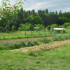 Отель Agriturismo Case Mori Римини фото 11