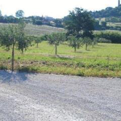 Отель Agriturismo Relais La Scala Di Seta Италия, Потенца-Пичена - отзывы, цены и фото номеров - забронировать отель Agriturismo Relais La Scala Di Seta онлайн фото 12