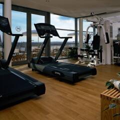 Sheraton Carlton Hotel Nuernberg фитнесс-зал
